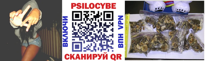 omg ссылки  Людиново  Галлюциногенные грибы MAGIC MUSHROOMS 