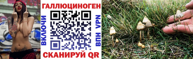 Галлюциногенные грибы GOLDEN TEACHER Людиново