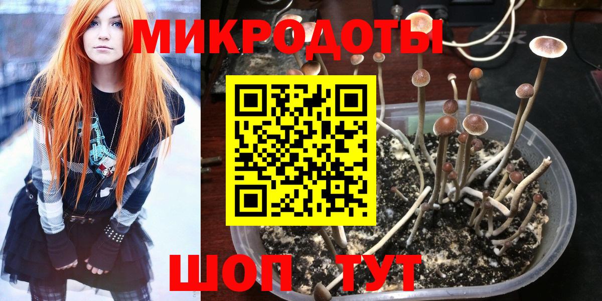 Людиново  Псилоцибиновые грибы Psilocybine cubensis  Вход с VPN 