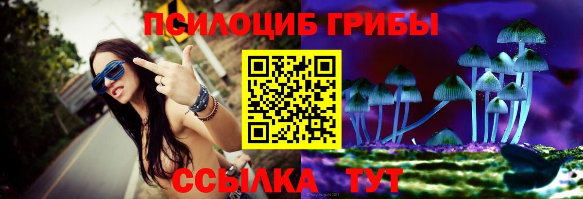 Псилоцибиновые грибы мухоморы Людиново